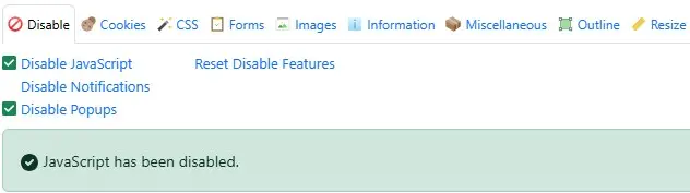 Web developer extension example